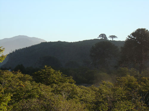 Paisaje